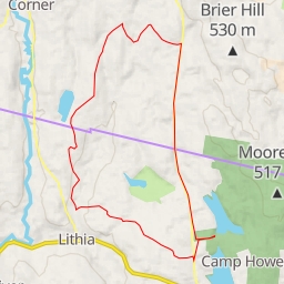 thumbnail for Paddy Hill