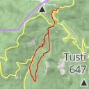 thumbnail for Grofica