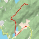 thumbnail for Lyshornet