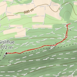 thumbnail for Gisliflue