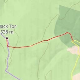 thumbnail for Back Tor