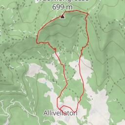 thumbnail for Truc Mongrosso