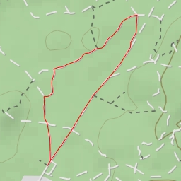 thumbnail for Le Diplodocus