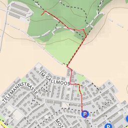 thumbnail for Altstraße