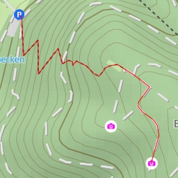 thumbnail for Bickberg