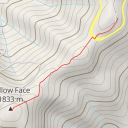 thumbnail for Yellow Face