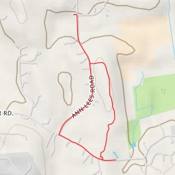 thumbnail for NHESP-certified vernal pool