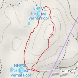 thumbnail for NHESP Certified Vernal Pool