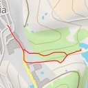 thumbnail for helechos - Camino a Moya