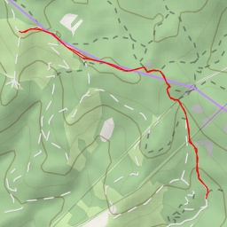 thumbnail for Oinbakoitzeko gaina