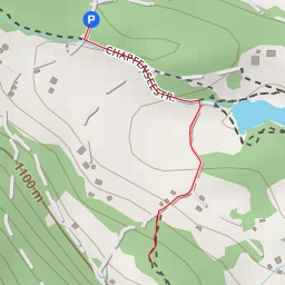 thumbnail for Chapfenseestrasse - Chapfenseestrasse