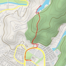 thumbnail for Dam lama