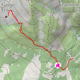 thumbnail for Il Fungo