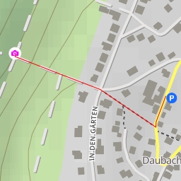 thumbnail for Hirschkäfereiche