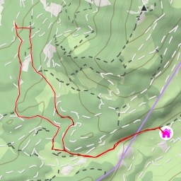 thumbnail for Schwarzrieshütte