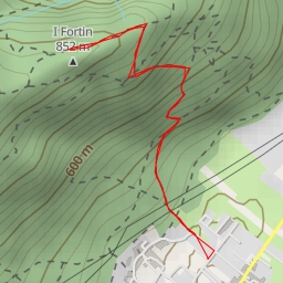 thumbnail for I Fortin