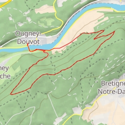 thumbnail for Chemin de la Vie - Chemin de la Vie