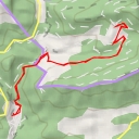 thumbnail for Terrers Roigs