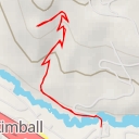 thumbnail for Swaner Preserve