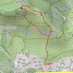 thumbnail for 獅尾 Lion Tail