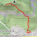 thumbnail for 獅子頭 Lion Head