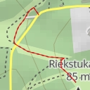 thumbnail for Riekstukalns