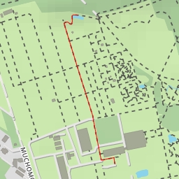 thumbnail for Ogród Botaniczny PAN - Trufle - Warszawa