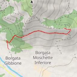 thumbnail for Monte Baron