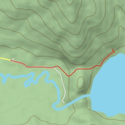 thumbnail for Bosque de Alerces