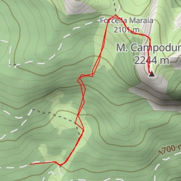 thumbnail for M. Campoduro