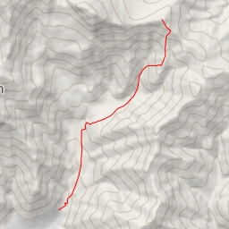 thumbnail for سیاه ریز