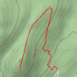 thumbnail for Pincushion Mountain Trail - West Central Okanagan Electoral Area