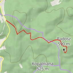 thumbnail for Radosz