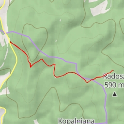 thumbnail for singletrack - singletrack