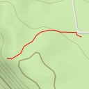 thumbnail for Four Dances