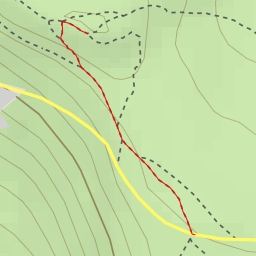 thumbnail for White Path Moss