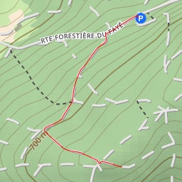 thumbnail for Route Forestière du Fayé - Route Forestière du Fayé
