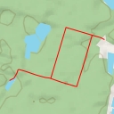 thumbnail for Wróblik