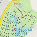 thumbnail for Giant Water Lily Pond