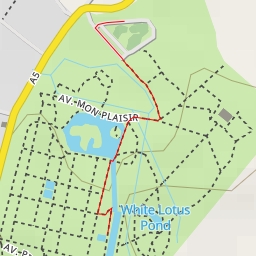 thumbnail for Giant Water Lily Pond