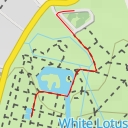 thumbnail for Sir Seewoosagur Ramgoolam Botanical Garden - Belle Source Avenue