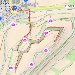 thumbnail for Riegeler Straße