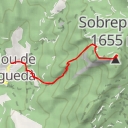 thumbnail for Sobrepuny