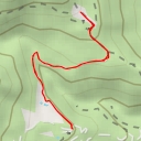 thumbnail for Árbol del Ardillo