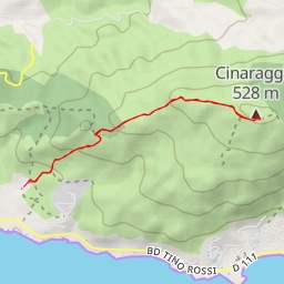 thumbnail for Cinaraggia