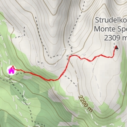 thumbnail for Strudelkopf - Monte Specie