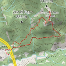 thumbnail for Zucco di Belloeuria