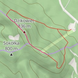 thumbnail for Dzikowiec