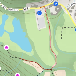 thumbnail for Avifauna presente nel SIC Lago di Ganna - Via Ugo Perego