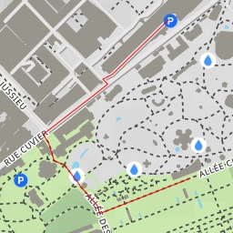 thumbnail for Jardin de l'École de botanique - Allée Guy de La Brosse - Paris